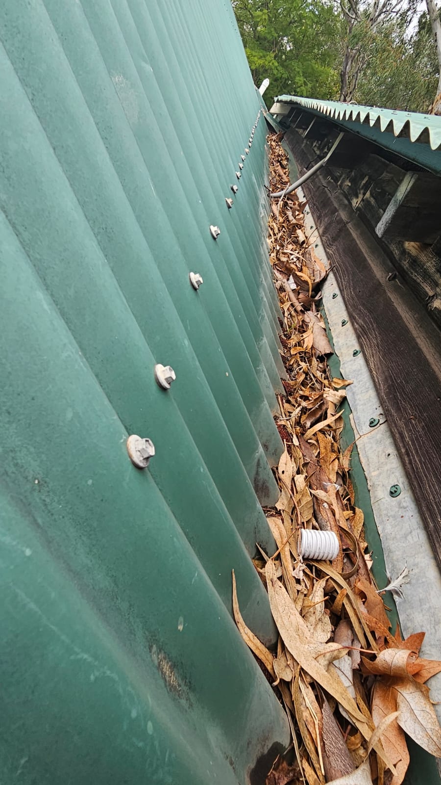 Before cleaning - heavy leaves & debris block